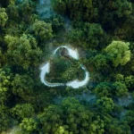 sustainable carbon