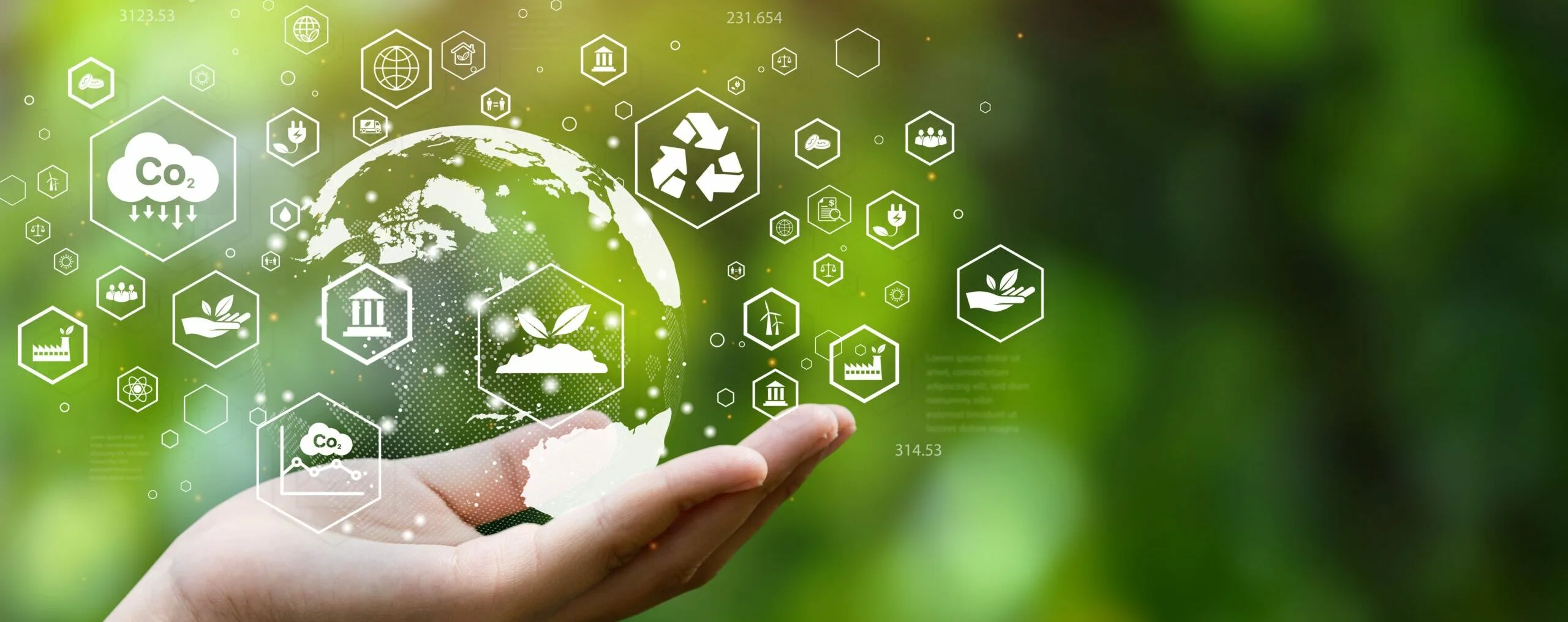 Carbon Contracts for Difference